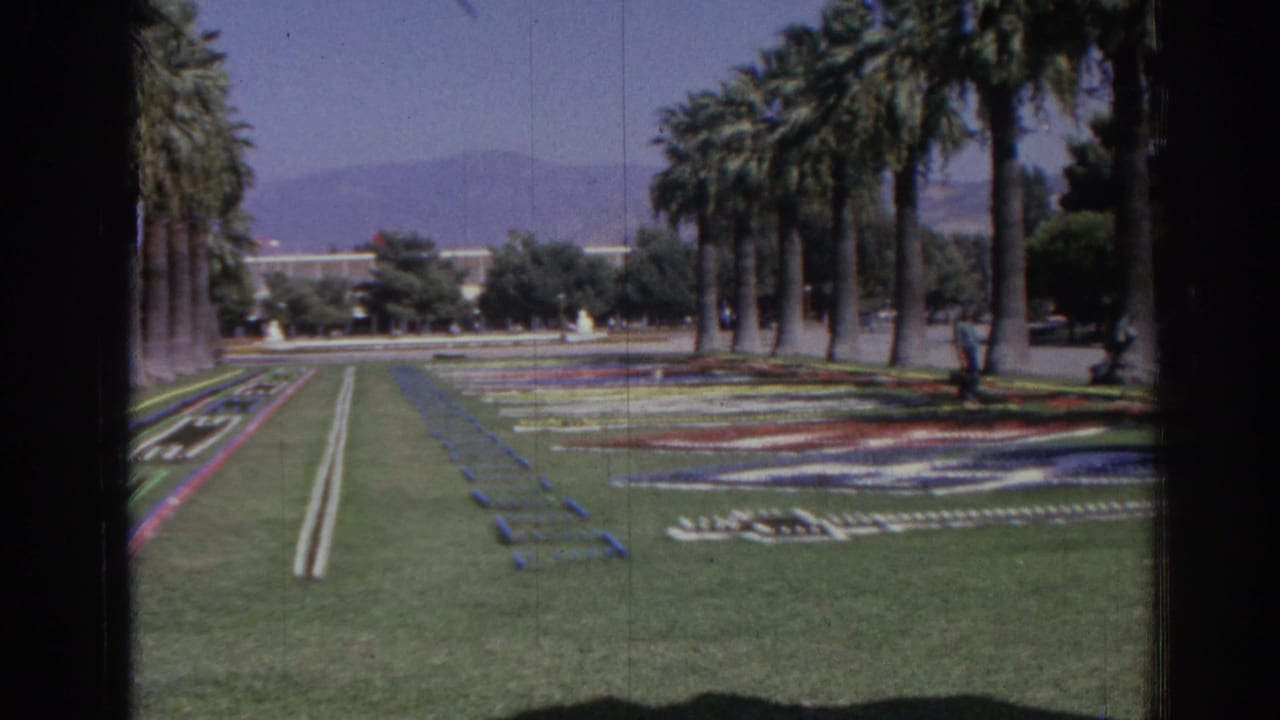 Palm-lined lawn with colorful floral patterns, distant hills, and visible 8mm frame borders.
