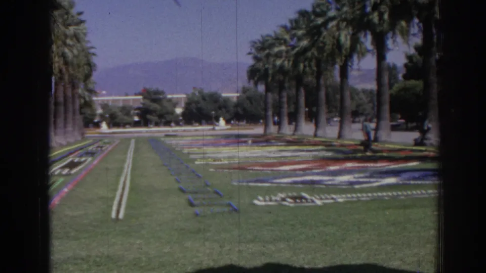 1962 Izmir home-movie view of a manicured lawn, palm trees, patterned flower beds, and distant hills under bright sun.