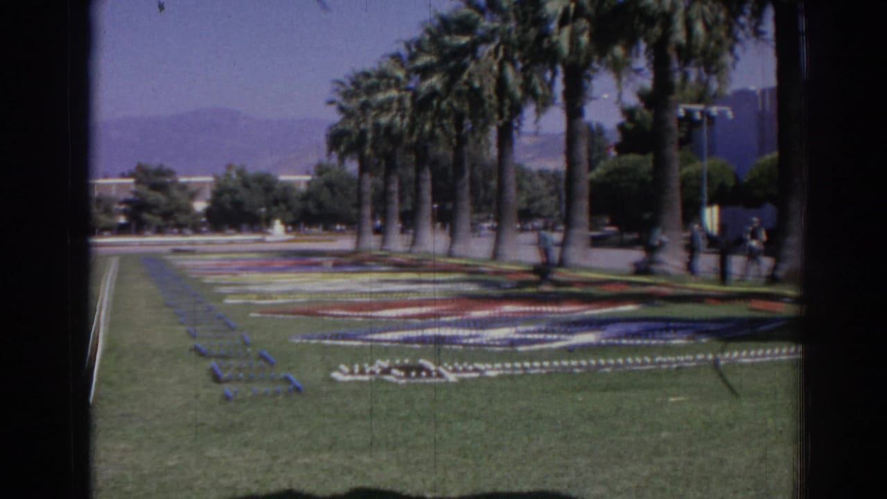Palm trees beside a landscaped lawn with flower patterns, hills, and a few small pedestrians.