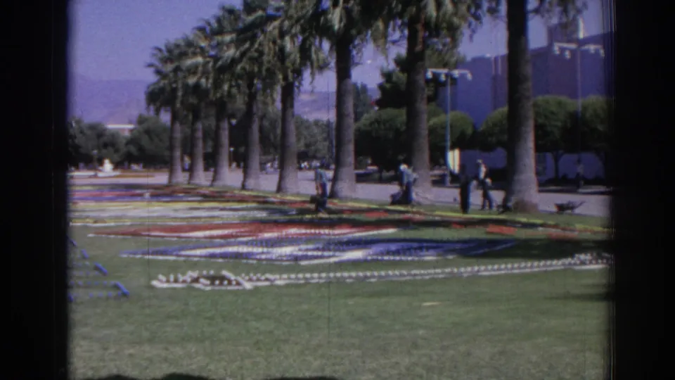 1962 Izmir view of a sunny palm-lined landscaped lawn with colorful floral designs and small visitors in the background.