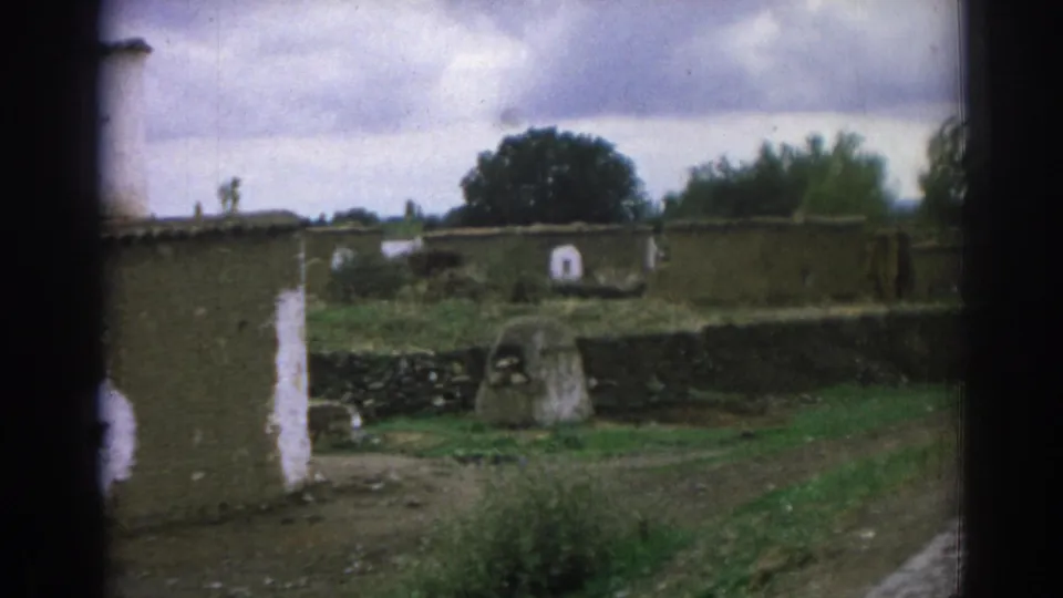 Wide 1962 Izmir cemetery view from a path, with low stone walls, grave markers, grass, whitewashed masonry, trees, and an overcast sky.