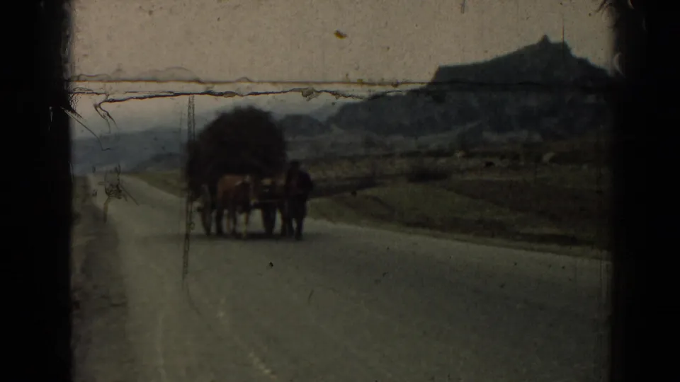 A horse-drawn cart loaded with branches moves along a mountain road, with a person near the cart and rural terrain in the background.