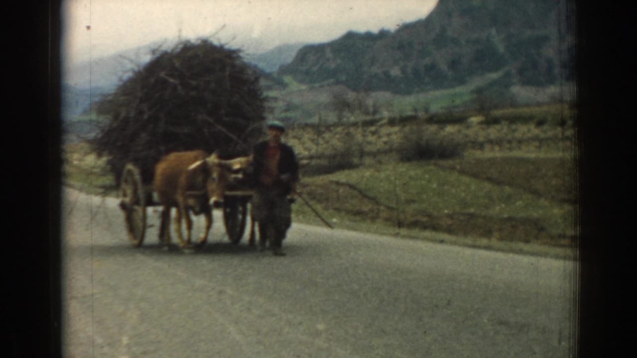 Man walking beside an ox pulling a heavily loaded wooden wagon on a rural road.