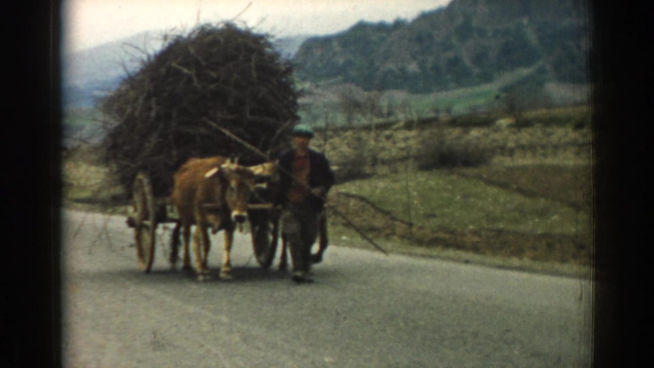 Ox and loaded wagon move closer as a man walks beside them with a long stick.