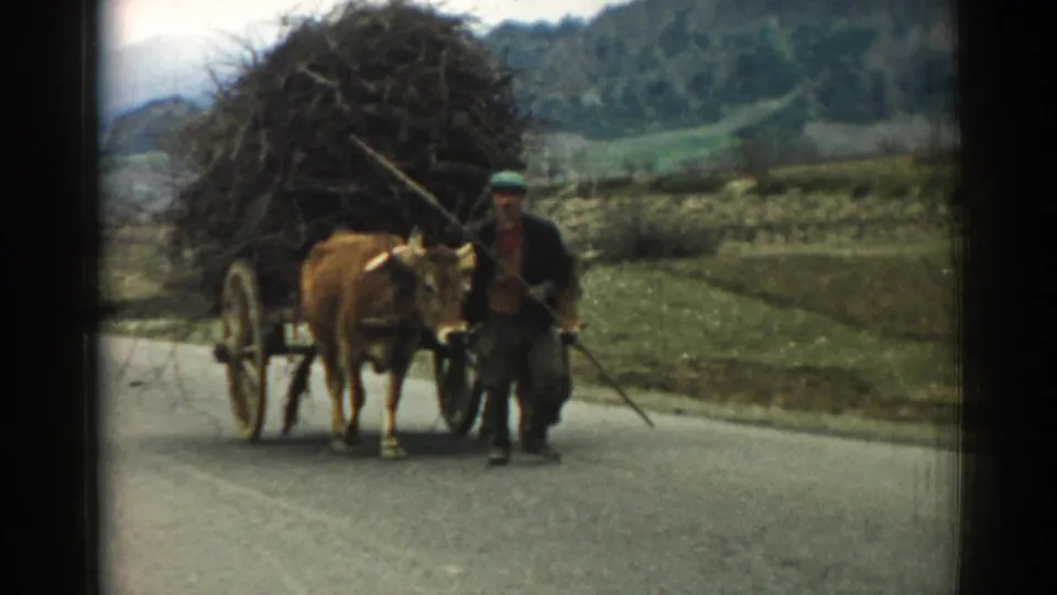 Near the end of the clip, the man walks beside the ox and brush-filled wagon on a rural road in Izmir, Turkey.