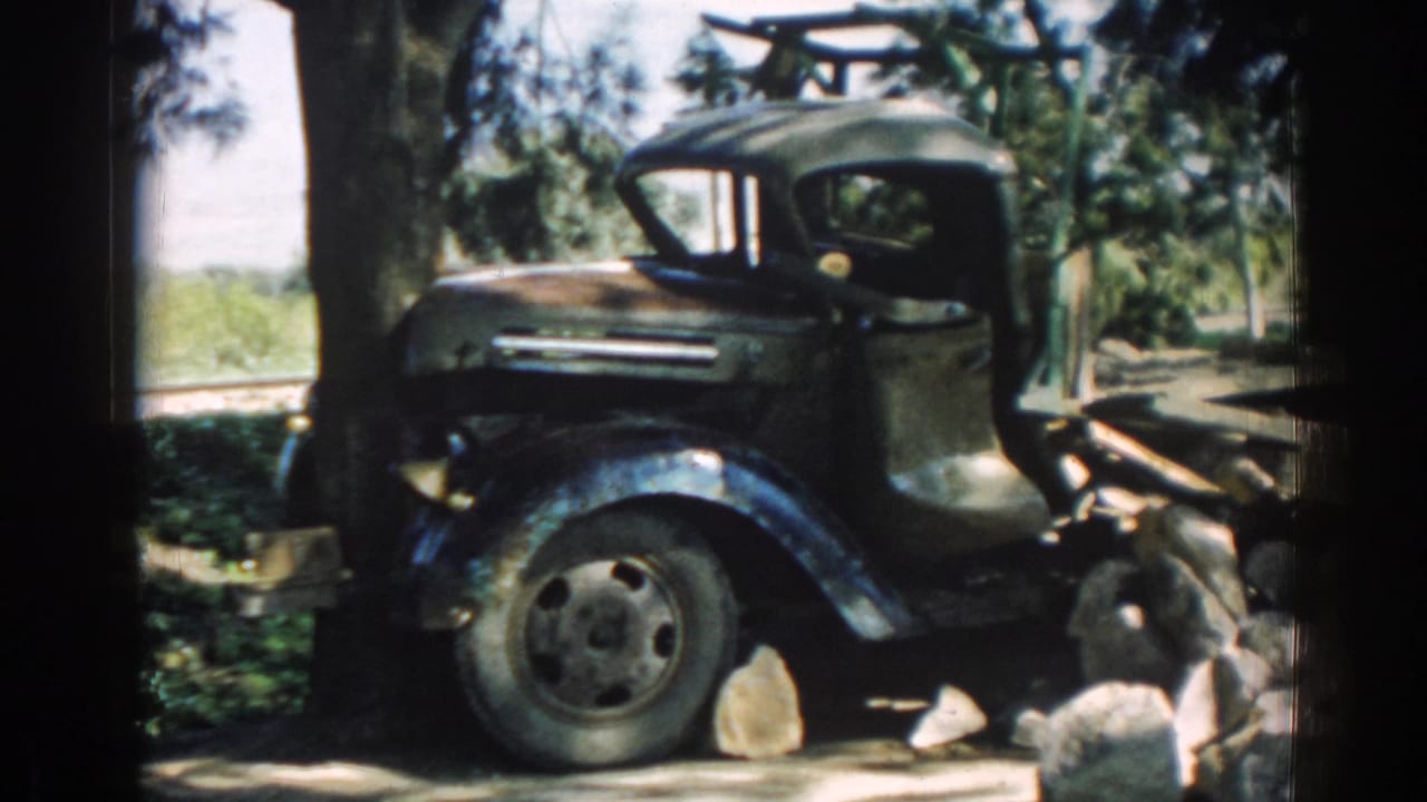 Side view of the green cargo truck in Izmir, Turkey, with its cab near a tree and rocks visible along the roadside area.