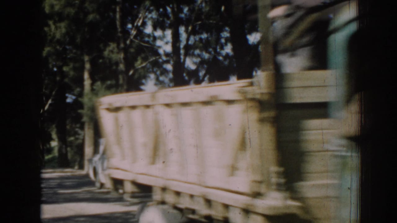 Open-back green truck moving past the camera on a tree-lined street.