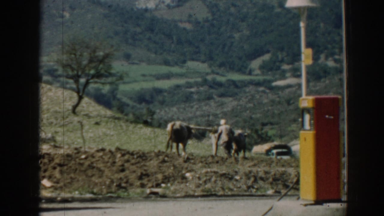 Farmer and two oxen plowing a hillside field near a red and yellow gas pump.