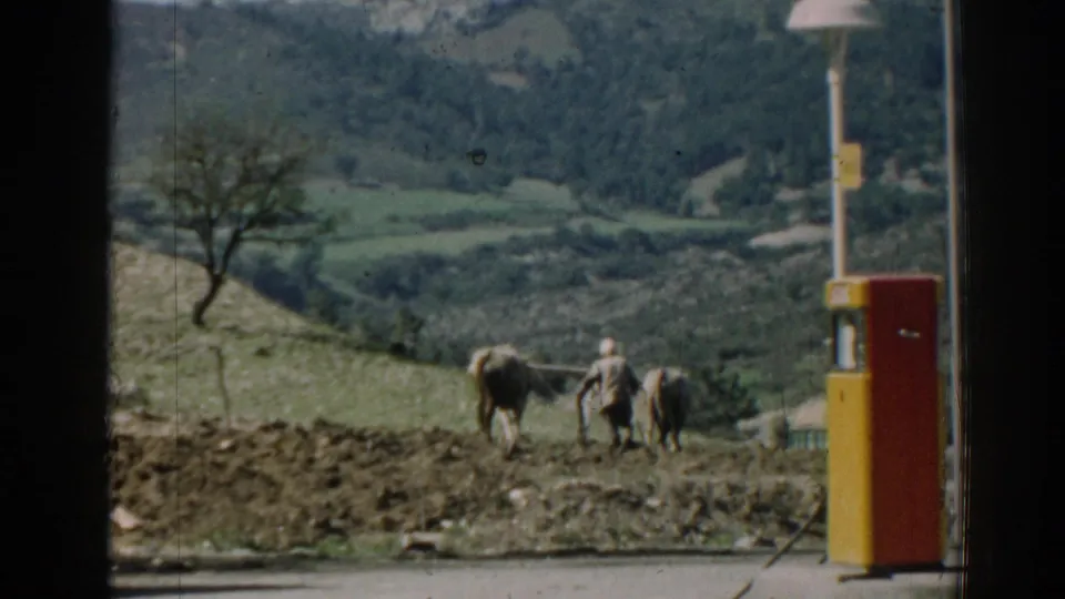 In rural Izmir, Turkey, the farmer appears behind the oxen as they move across the field near the roadside pump.