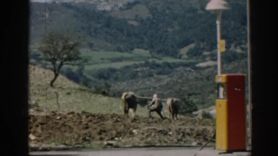 The farmer works close to the oxen in the field, with the red and yellow roadside pump and wooded hills behind the scene.