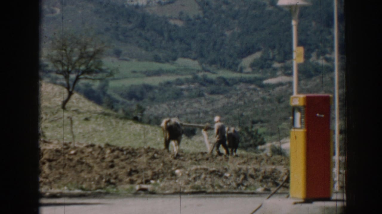 Farmer walks with oxen across a rough field near a roadside fuel pump.
