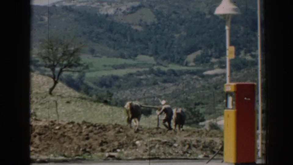 1962 Izmir home-movie still showing oxen and a farmer on a plowed slope beside a roadside pump.