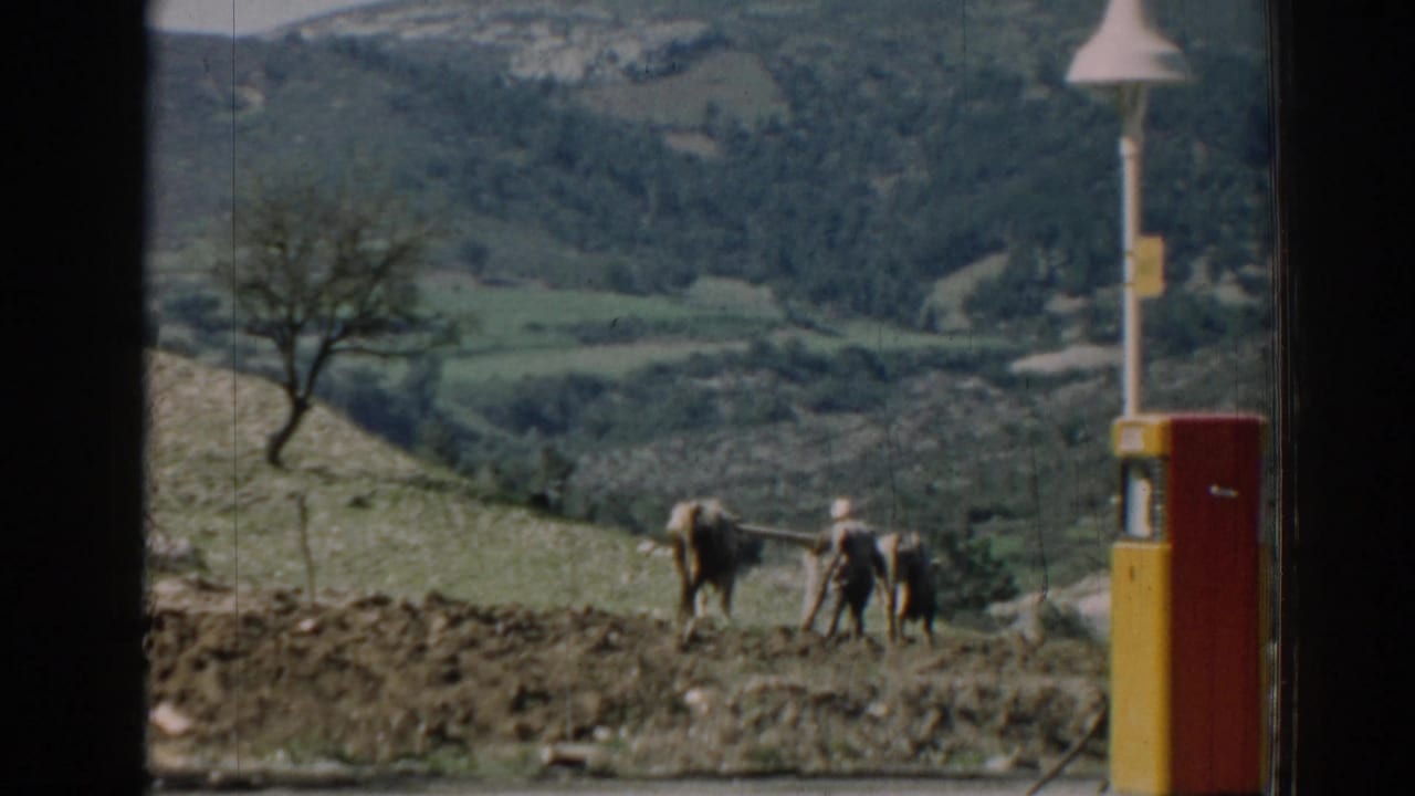 In 1962 Izmir, Turkey, a farmer appears to guide two oxen through a field, with a yellow and red roadside pump in the foreground.