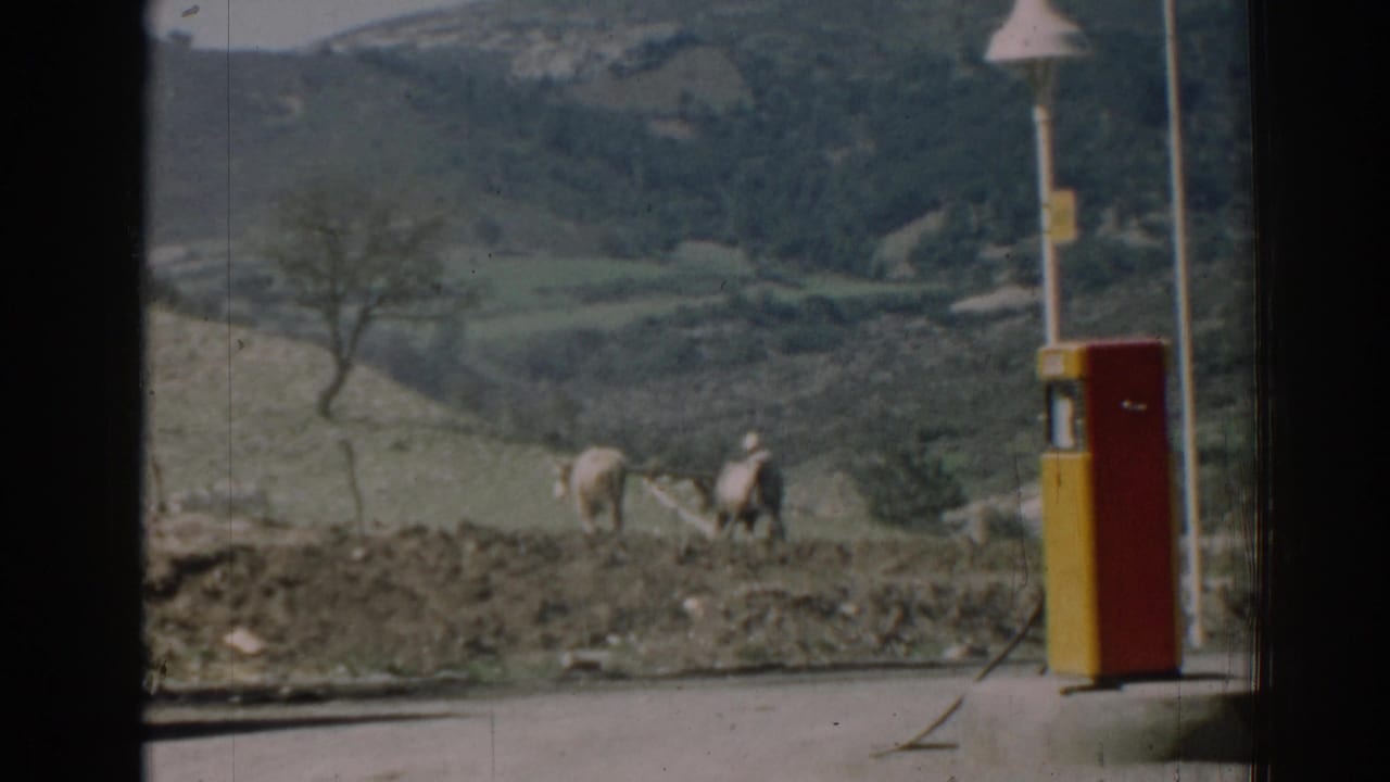 Oxen and farmer move along the field behind a roadside fuel pump.