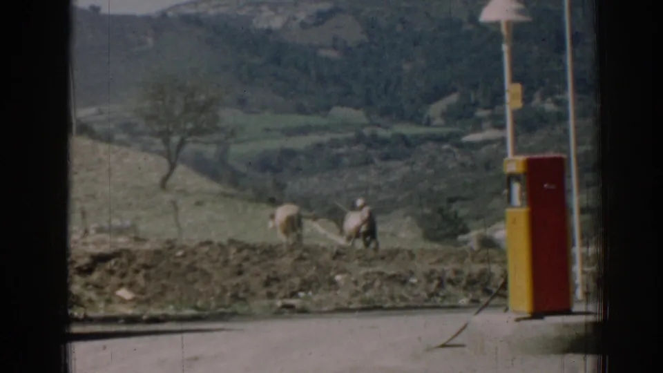 A distant farmer appears to follow oxen across a plowed hillside in 1962 Izmir, seen from a roadside home-movie viewpoint.