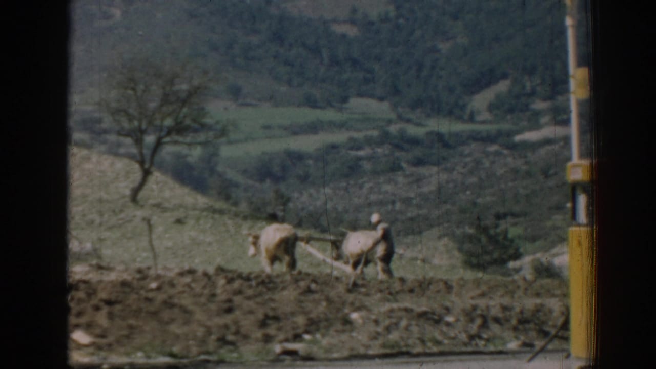 1962 Izmir home-movie frame showing a farmer steering two oxen and a plow across a rough rural field.