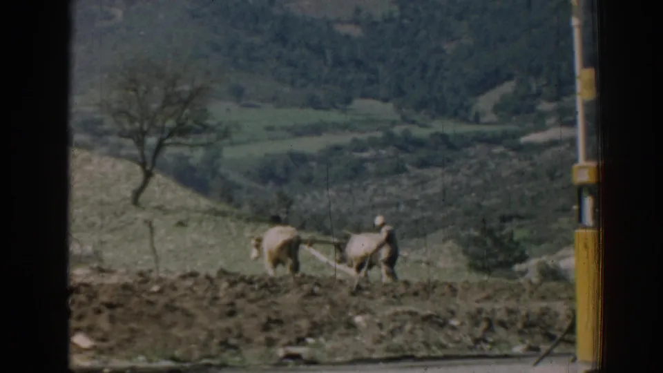 1962 Izmir home-movie frame showing a farmer steering two oxen and a plow across a rough rural field.