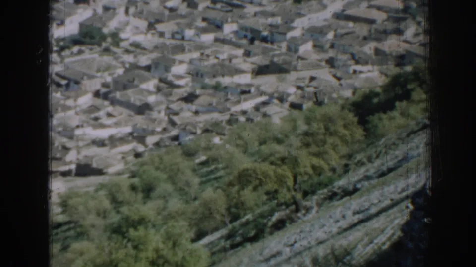 The final 8mm frame holds on clustered Izmir homes beyond trees and a sloped foreground, softened by motion and grain.