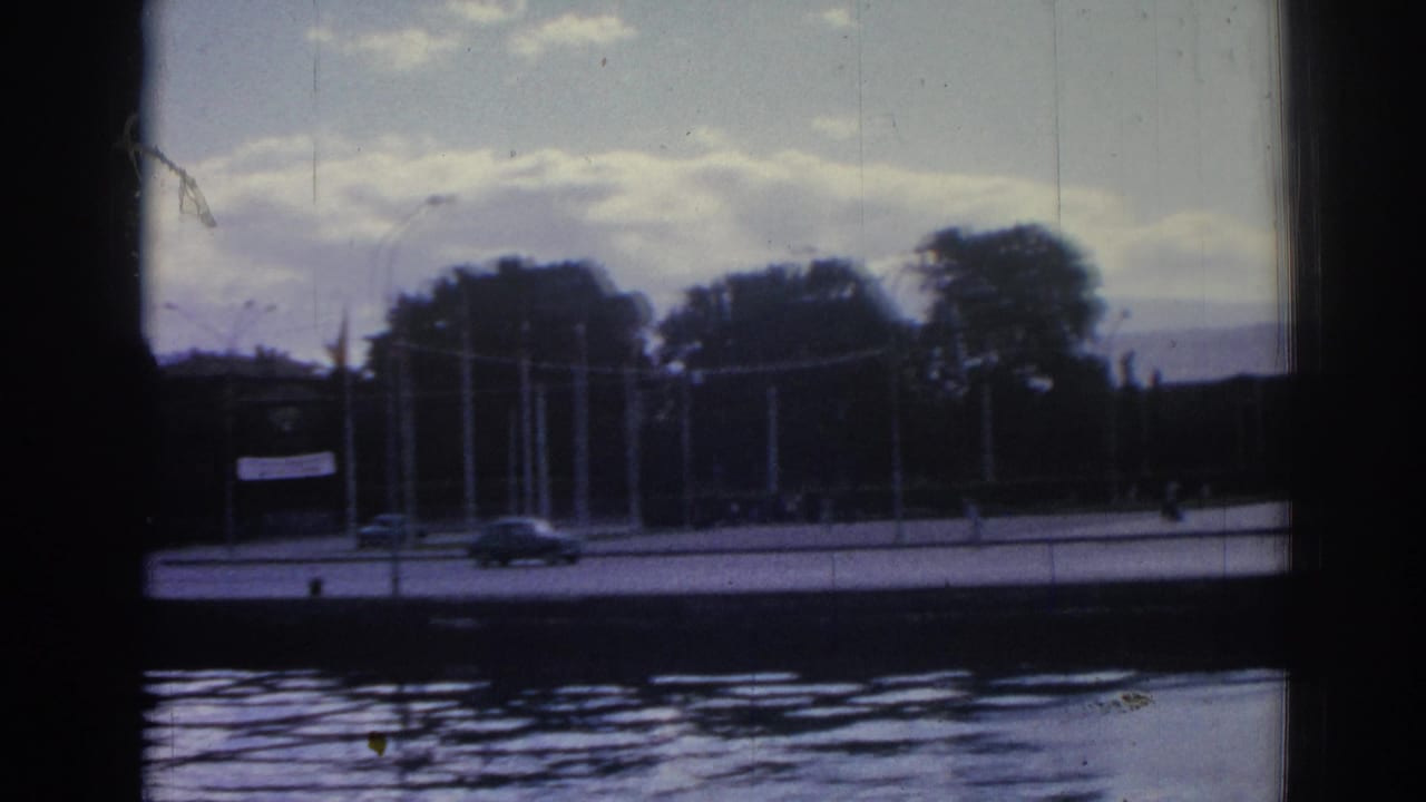 Waterfront road with cars, trees, flagpoles, and water in the foreground.