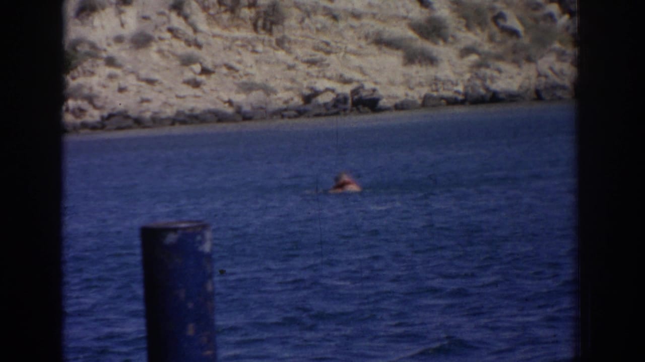 1962 Izmir frame showing a swimmer in open blue water, rocky coastline behind, and a dark vertical post in the foreground.