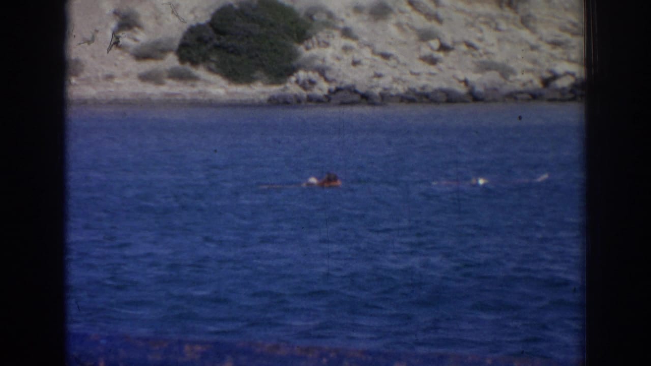 Distant swimmer in blue water near a rocky shoreline, framed by dark foreground edges.