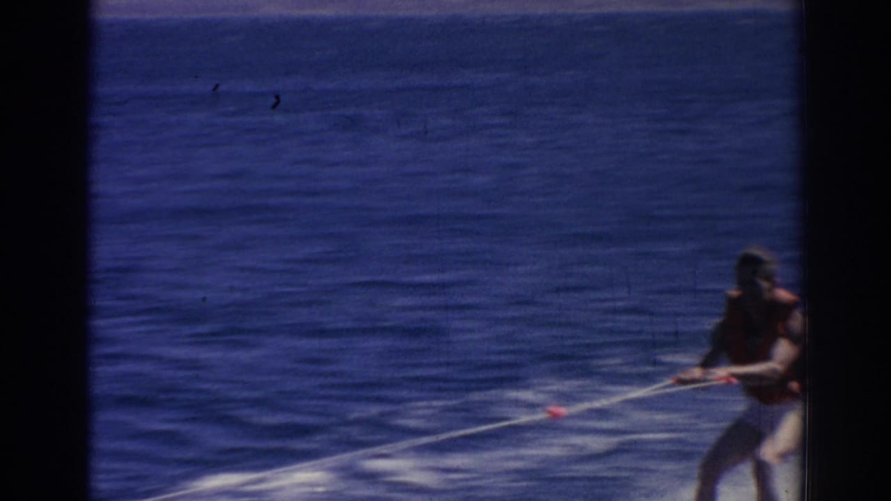 The skier, wearing a life vest, holds the tow rope as he crosses open water in the Izmir, Turkey home-movie clip.