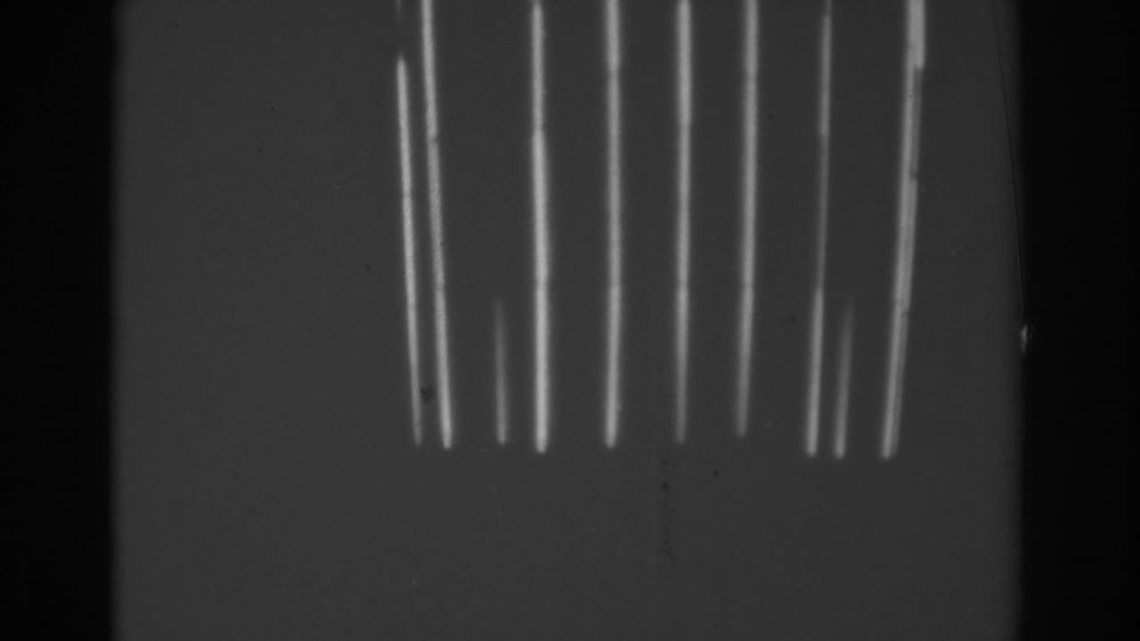 Vertical neon light strips against a dark nighttime background.