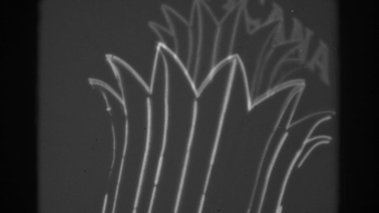 Black-and-white 1962 Las Vegas frame with palm-like neon signage glowing against a dark roadside background.