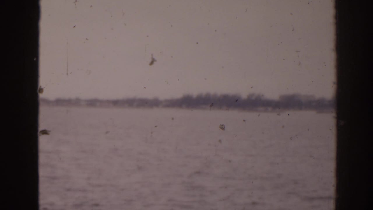 Calm water and distant hazy shoreline framed by dark vertical edges.