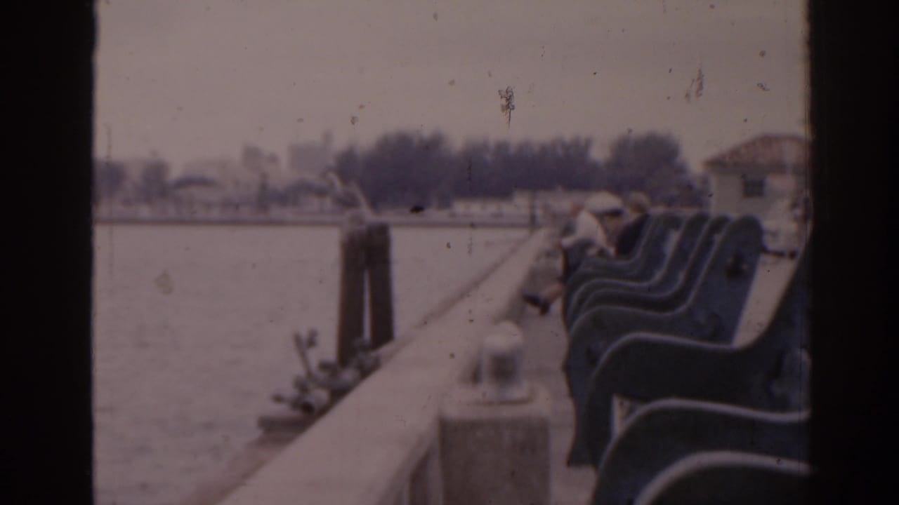 Concrete waterfront pier with dark benches beside calm water and distant shoreline.