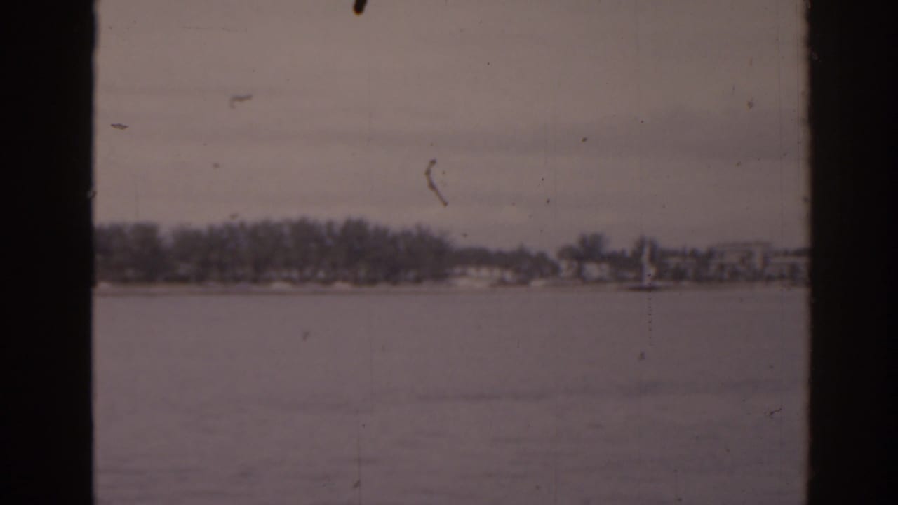 Calm lake with a distant tree-lined shoreline framed by dark vertical edges.