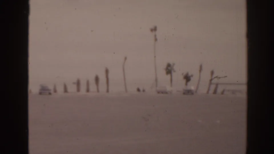 1963 Florida beach view with two light-colored cars parked beside tall palms and open water in the distance.