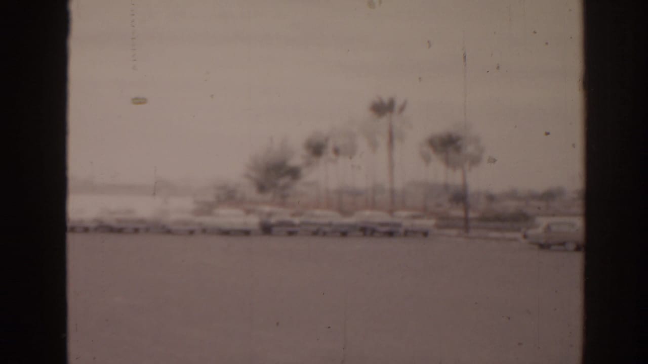 Parked cars line a sunny lot near palm trees and distant water.