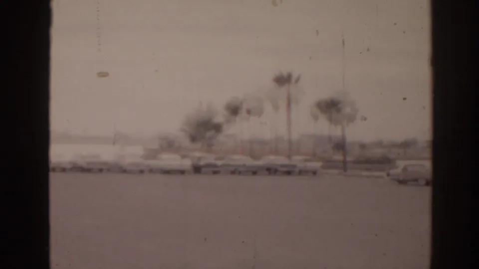 1963 Florida 8mm frame showing parked cars beside palm trees, low vegetation, and water in the distance.