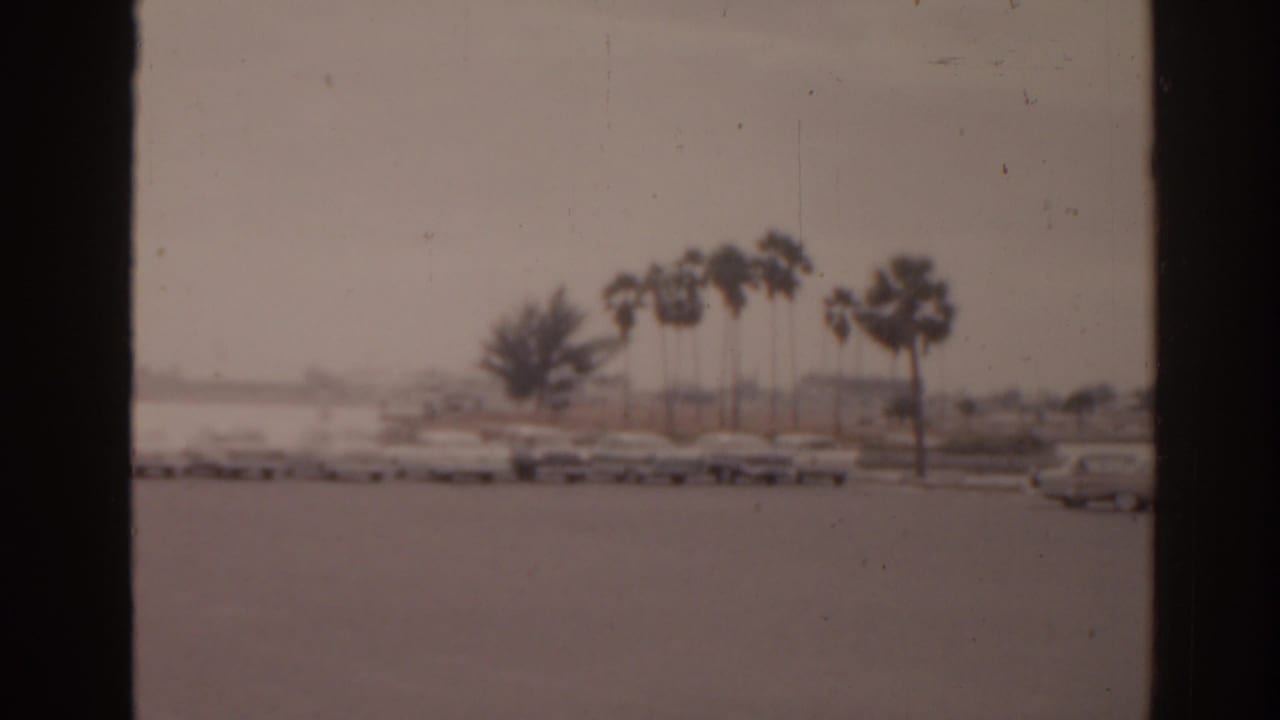A row of parked cars sits beyond open pavement with palms and water behind.