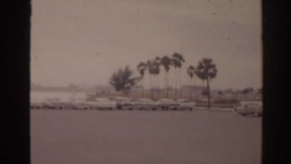 1963 Florida home-movie frame of cars parked along a lot with palm trees and a calm body of water beyond.