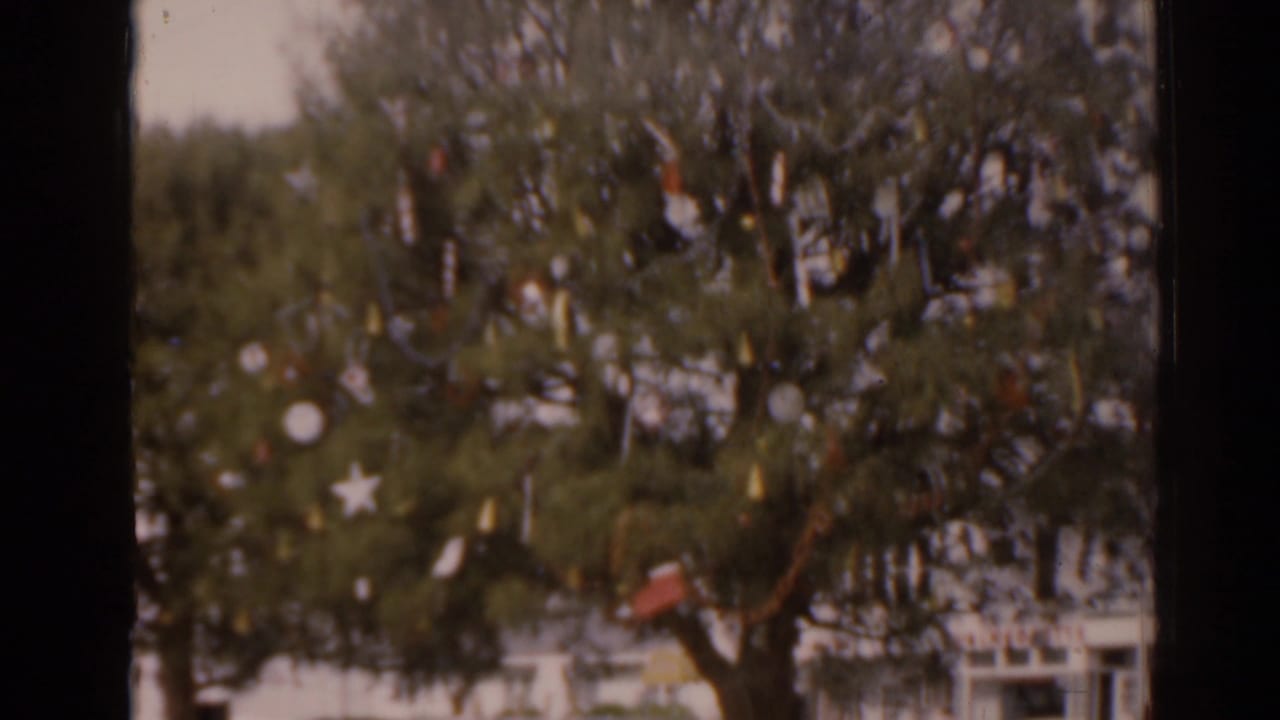 Decorated pine tree with white star and round ornaments outdoors.