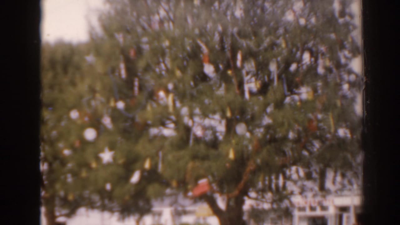 Outdoor Christmas tree ornaments hanging among pine branches.