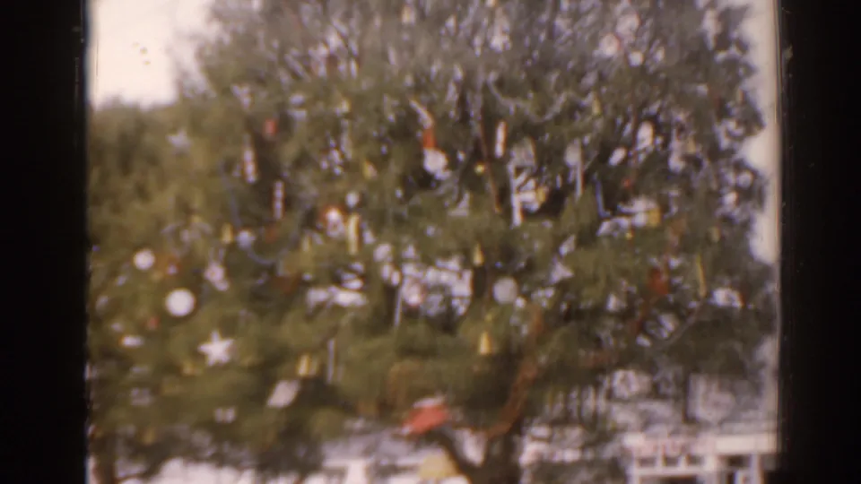 1963 Florida home-movie frame of a large outdoor pine tree decorated with white stars and small ornaments.