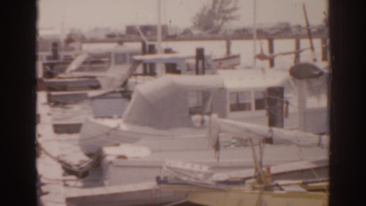 White cabin boats moored beside a wooden pier on calm water.