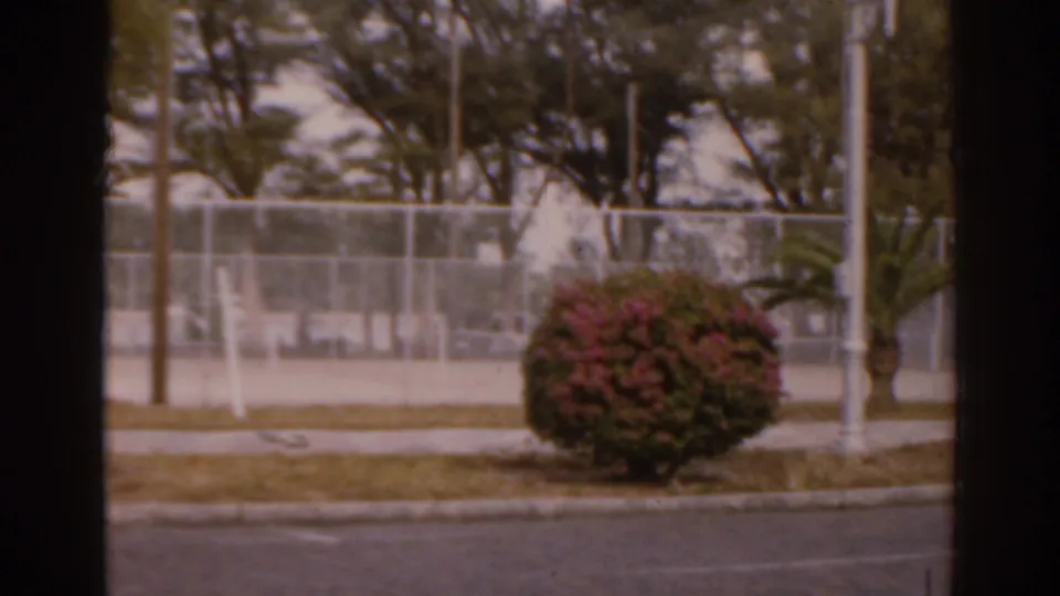1963 Florida 8mm frame showing a quiet road edge, flowering shrub, palm, trees, sidewalk, and school-like fencing.