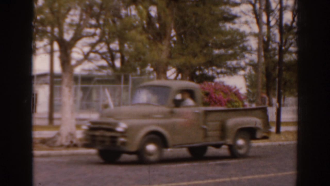 Green vintage pickup truck driving past trees on a street.