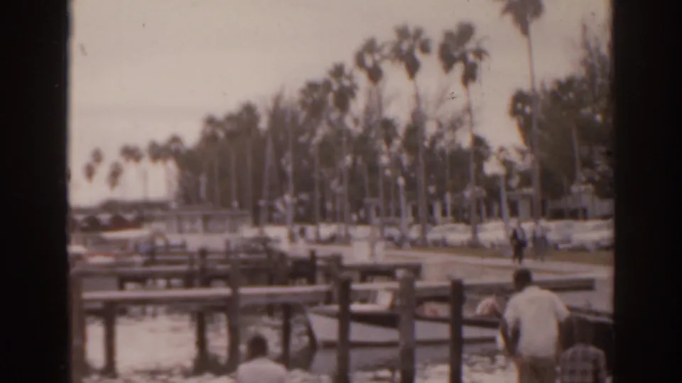 1963 Florida waterfront scene with palm trees, wooden dock railings, benches, and people gathered near the shore.