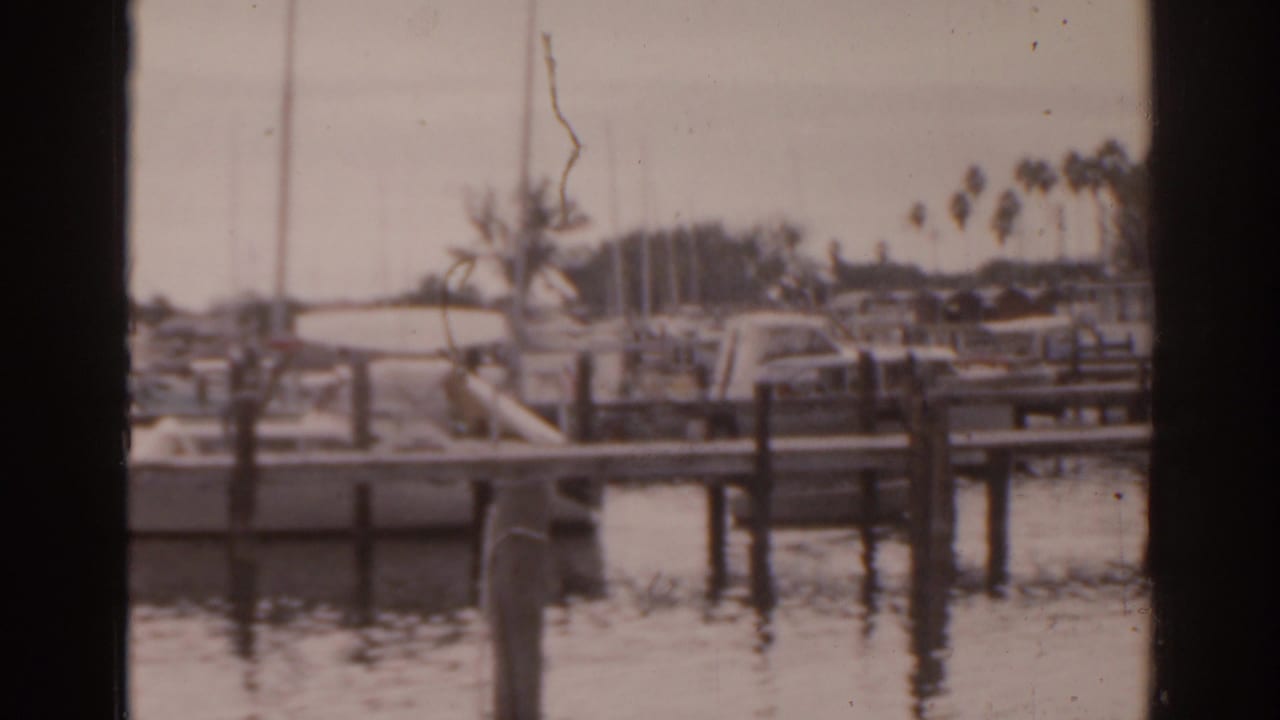Boats moored beside wooden docks with palm trees in the background.