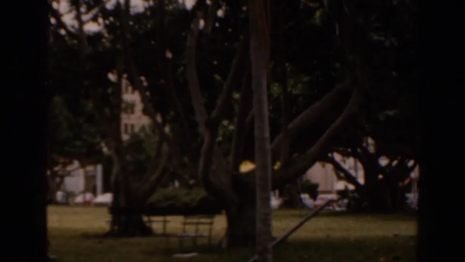 1963 Florida 8mm frame showing a shaded park-like lawn with large trees, benches, and partial building facades behind the foliage.