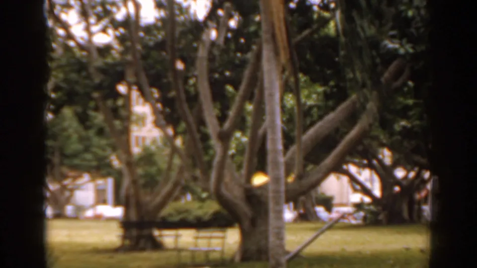 1963 Florida 8mm frame of a shaded green area with mature trees, benches, parked cars, and buildings partly visible beyond.