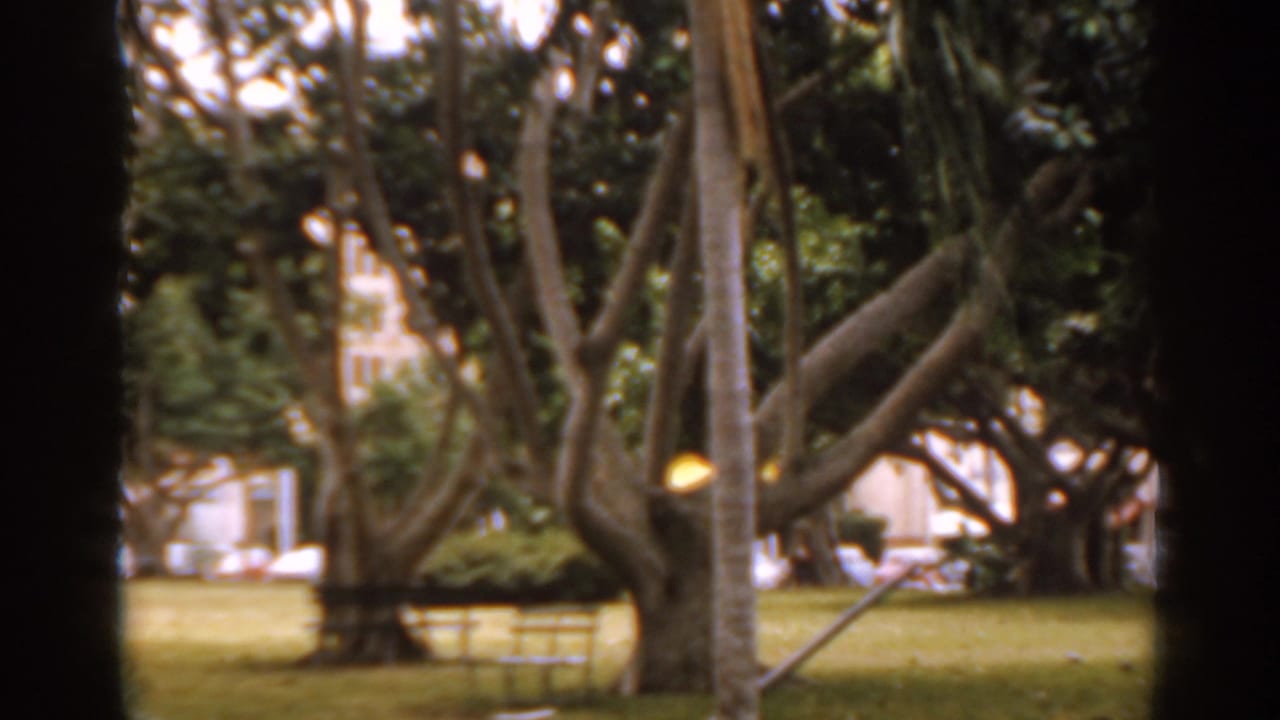 Leafy park view with trees, grass and dark film-frame edges before the woman is clearly visible.