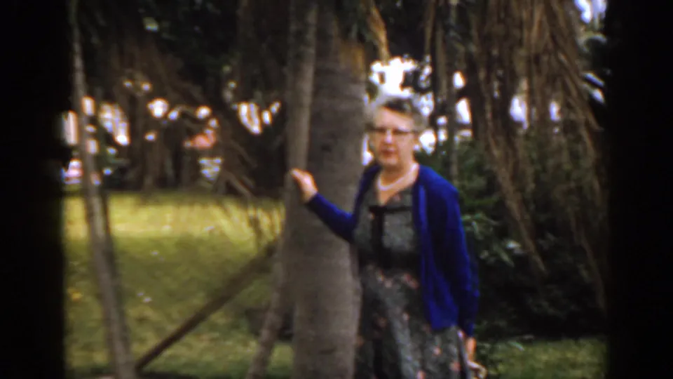 Older woman in glasses and a blue cardigan stands near a palm trunk in a Florida garden, 1963, with lawn and dense trees behind her.