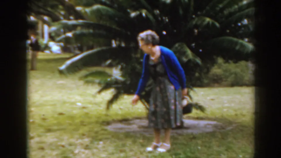 Older woman in a blue cardigan leans toward a low plant, with broad palm-like leaves and lawn visible in the Florida garden.