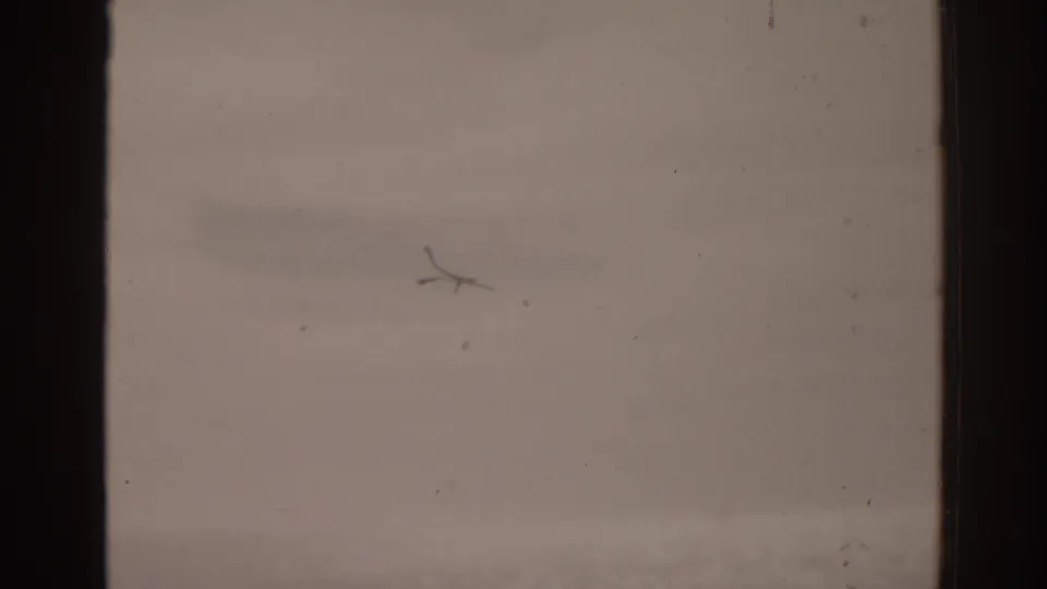 Overexposed 1963 Florida beach frame showing mostly pale sand, with faint shoreline detail and visible 8mm dust and scratches.